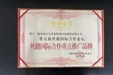 2024年丝路国际合作重点推广品牌证书
