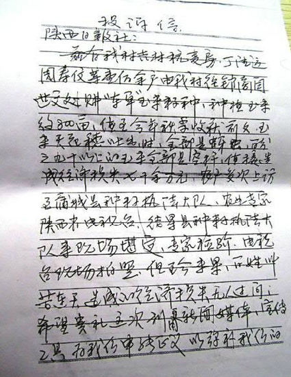 蒲城种子公司卖给农民假种子 今年玉米几绝收